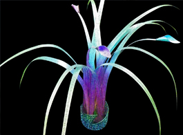 チタン花